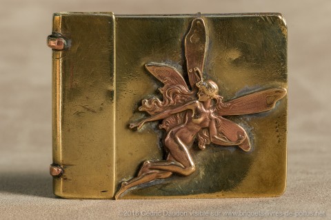 Format inhabituel en calepin avec dos détachable .Femme libellule en motif soudé style Lalique très art nouveau 